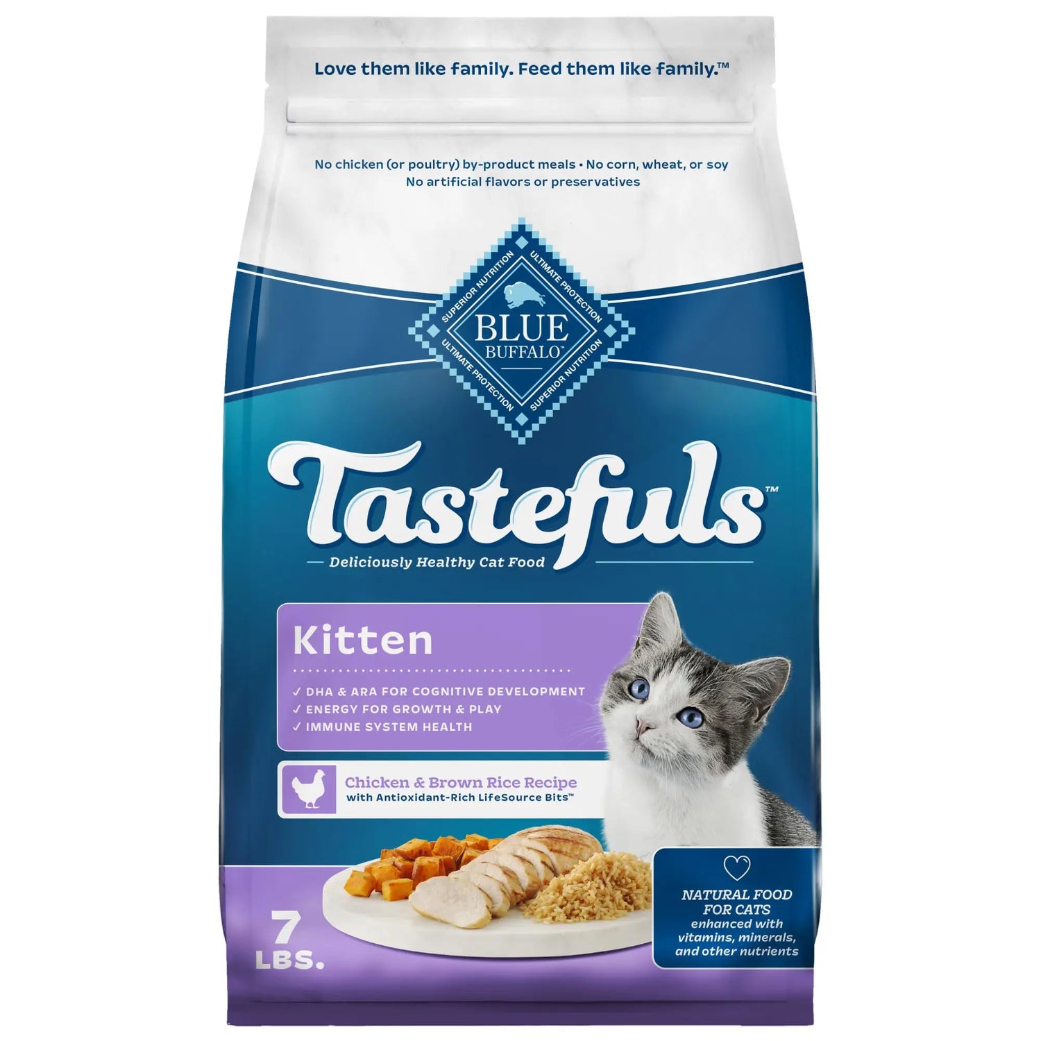 Kitten-Food Pet Paradise